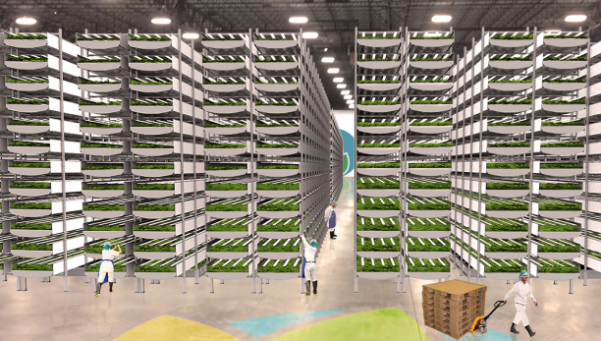 AeroFarms takes viewers inside their plans to build the world’s largest vertical farm in Newark, NJ.