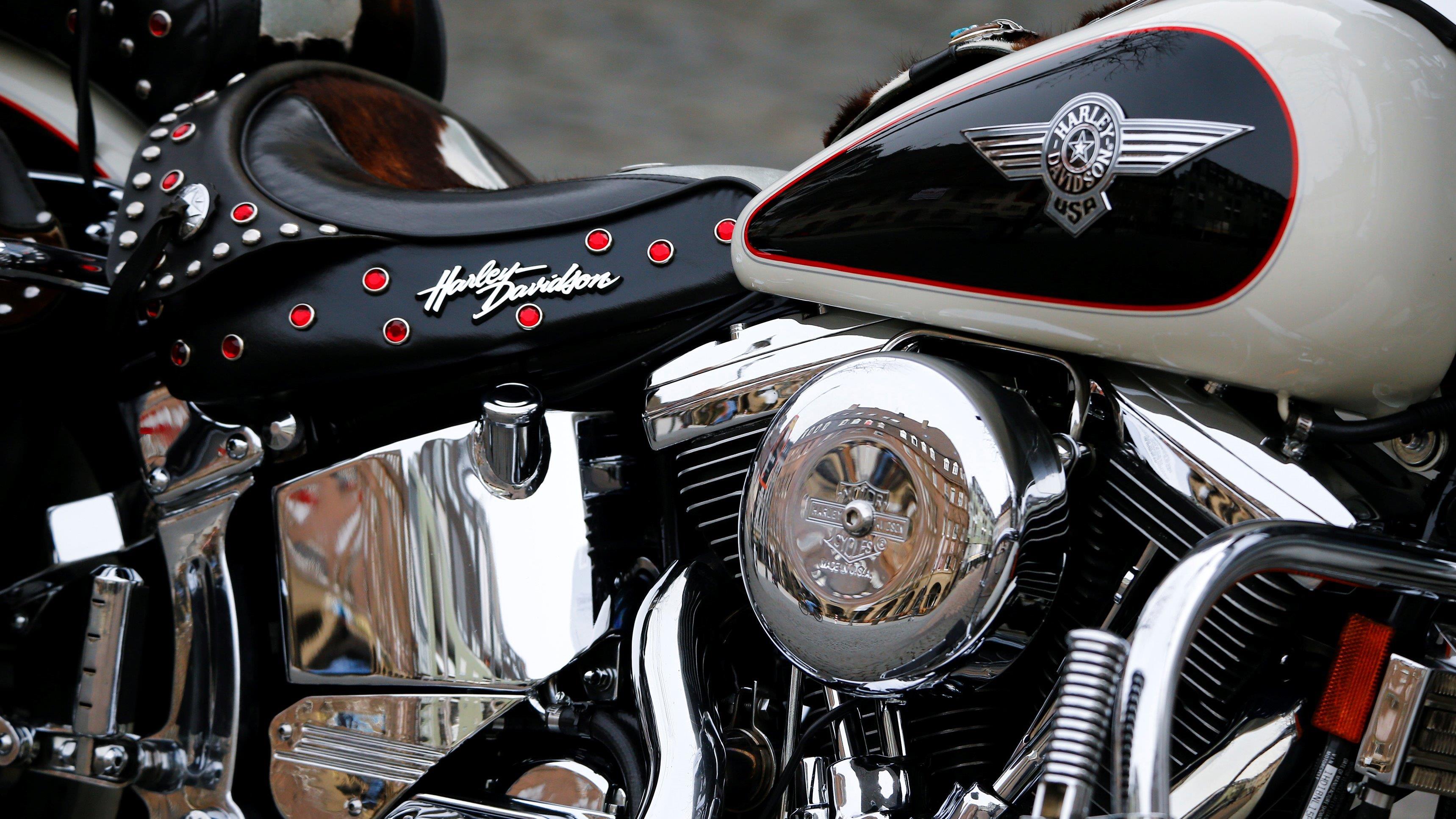 Harley-Davidson CEO Matt Levatich discusses sales, free-trade and his outlook for growth. 