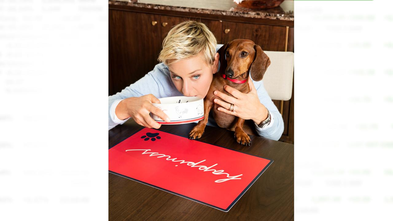 Daytime's Ellen DeGeneres launches her first dog line with PetSmart.
