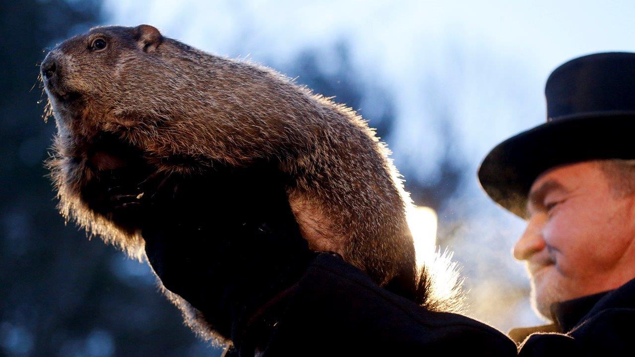 FNC Meteorologist Janice Dean talks to Groundhog Club Handler John Griffiths on his role as one of Punxsutawney Phil's official handlers.