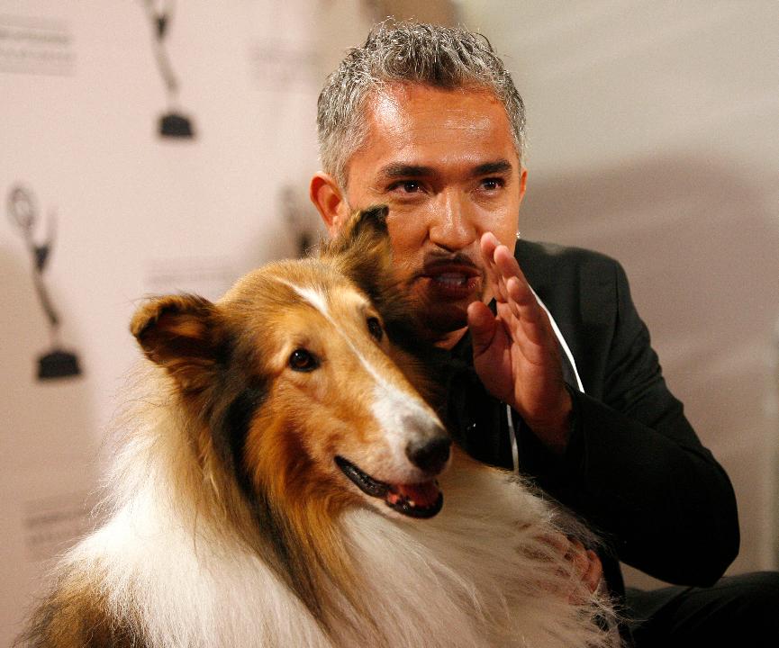Expert dog trainer, Cesar Millan (the Dog Whisperer) shares insight on his success, coming back from failure and his new show. 