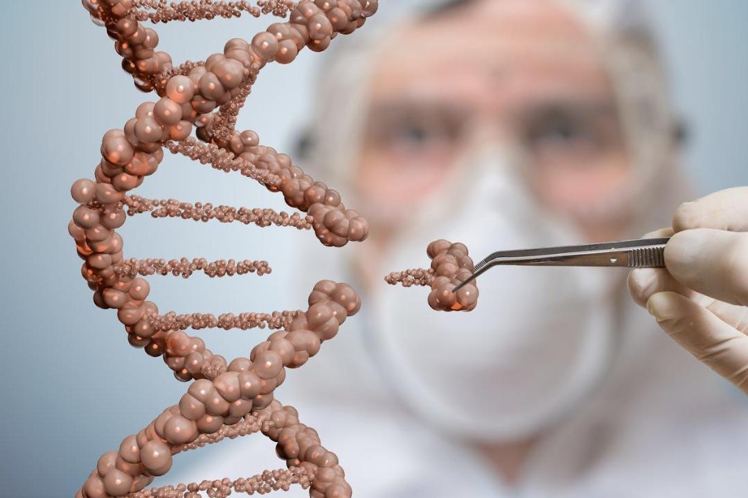 Dr. Robert Fraley, Monsantoâs Chief Scientific Officer says gene editing is a new innovation that could reshape how we eat. 