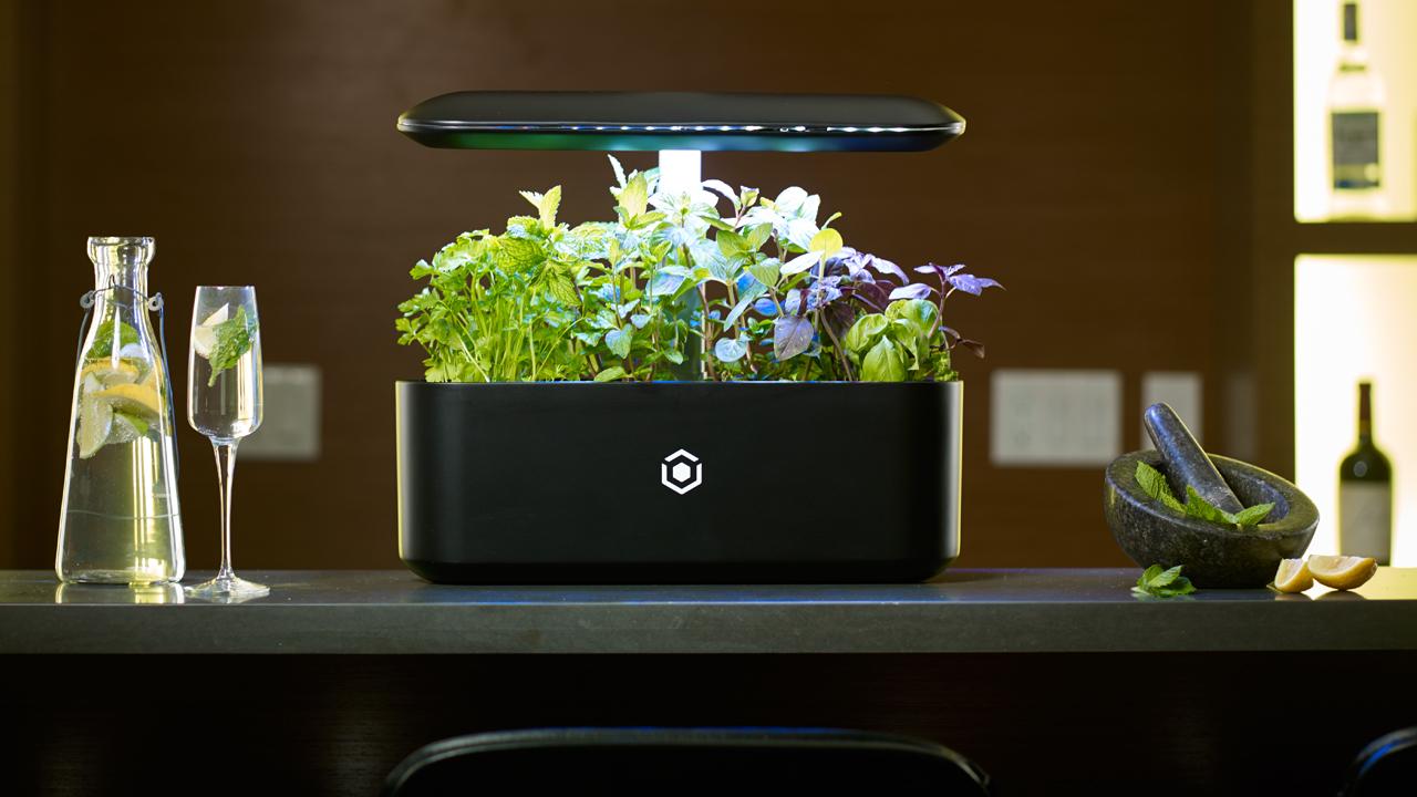 AVA technologies calls it the ‘Nespresso’ machine for gardeners. Take an exclusive look at the new AVA Byte smart garden of the future