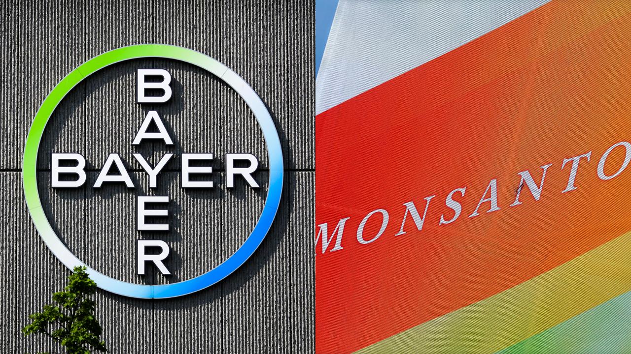 FOX Business contributor Charlie Gasparino weighs in on the likelihood of the Bayer and Monsanto merger. 