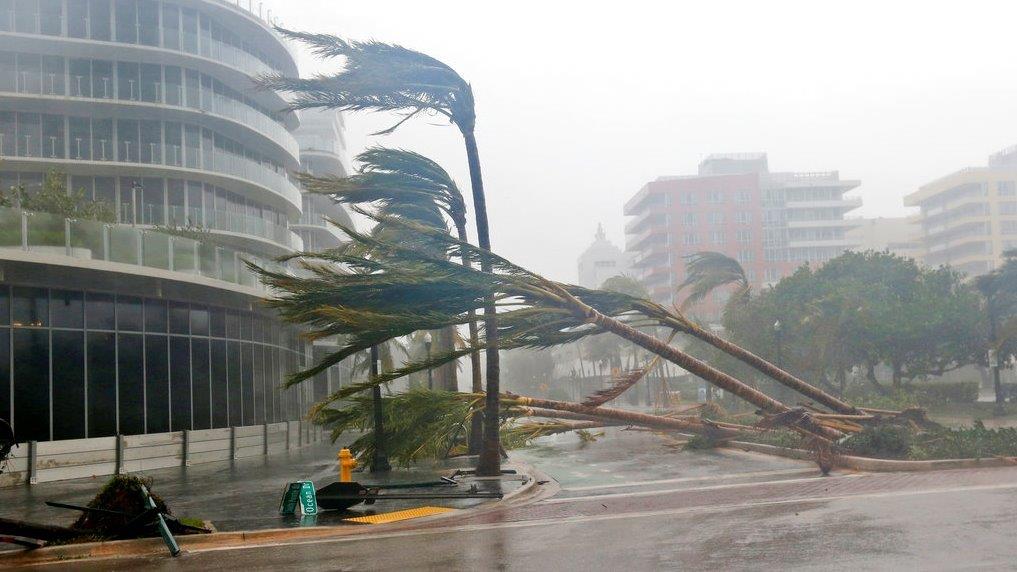 Mayor of Miami Beach  Philip Levine on the impact of Hurricane Irma. 