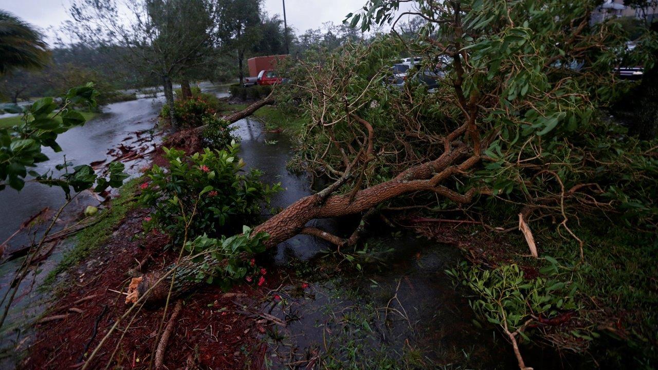 Fort Myers Police Chief Derrick Diggs on the search and recovery efforts after Irma and the hurricane's potential economic impact.