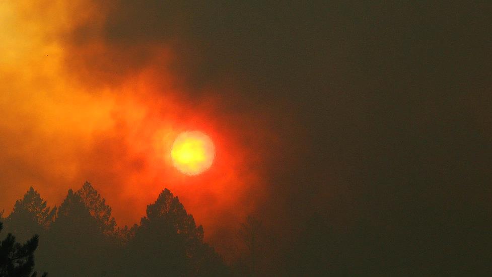 Sonoma County Wine Growers President Karissa Kruse on Napa Valley wildfires. 