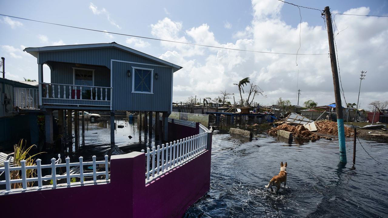 APR Energy works to bring lights back on in Puerto Rico 