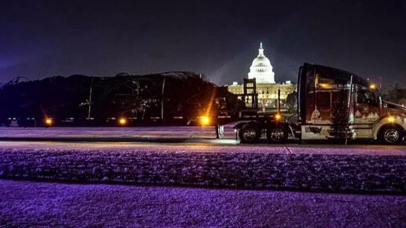 Lawrence Spiekermeier, the truck driver who transported the national tree to the U.S. Capitol, says it was the highlight of his career.