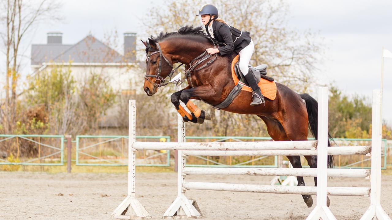  Autumn Siliato, a 16-year-old entrepreneur, created a clothing company where she sells different types of specialized equestrian apparel, an idea that’s netted her more than $40,000. 