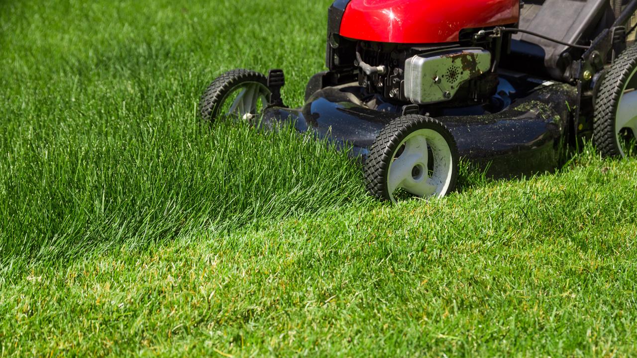 Green Worx Founder and CEO RJ Duarte, a high school student, discusses how he started a lawn mowing business, which now employs more than five full-time employees and -- at its busiest -- 14. 