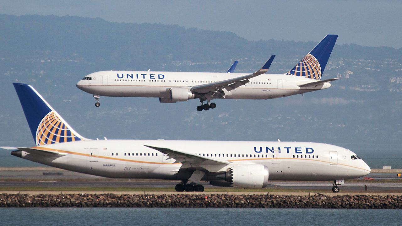 United Airlines temporarily suspends transport of pets in cargo holds | Fox  Business