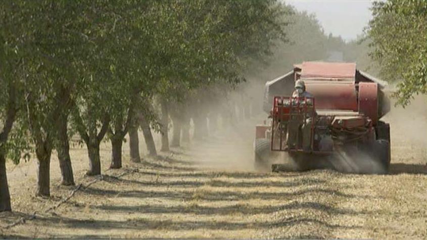 FBN's Hillary Vaughn on the impact of President Trump's tariffs on almond growers.