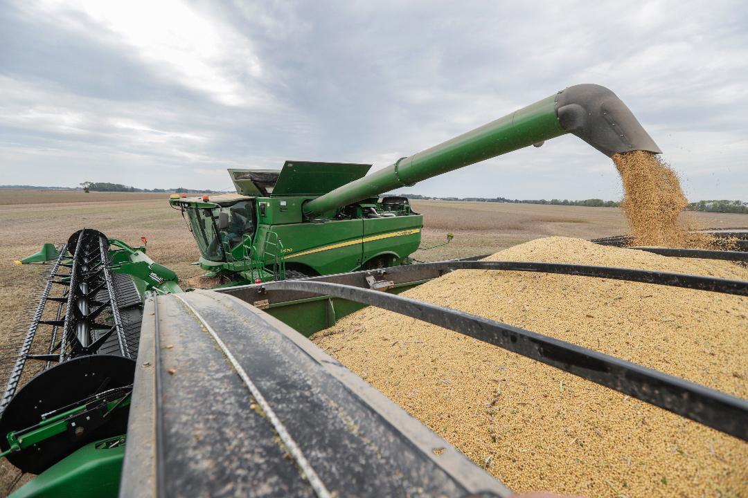 FBN’s Connell McShane interviews Iowa soybean farmer Ron Heck about how President Trump’s trade war with China has impacted the price of soybeans.