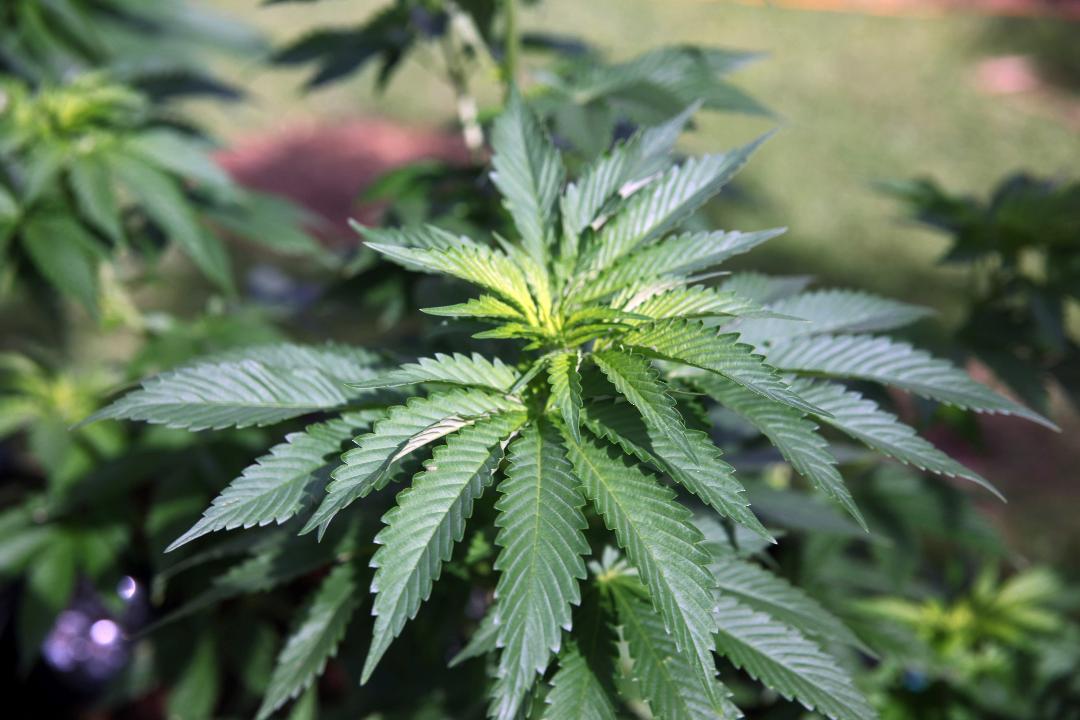 Reason.com managing editor Peter Suderman discusses why the U.S. should legalize marijuana. 