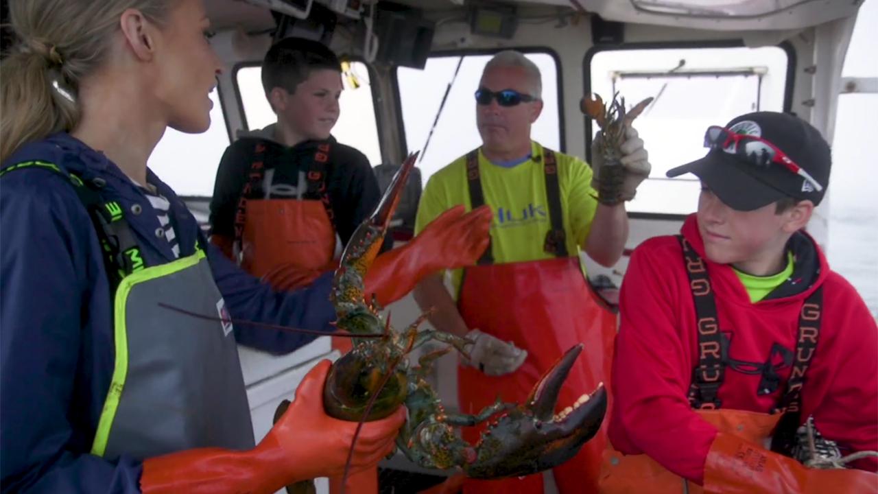 Members of the Beal family of Jonesport, Maine have been getting up before the sun for generations to catch lobsters. Fox News’ Carley Shimkus explores the hidden secrets behind the family business success.