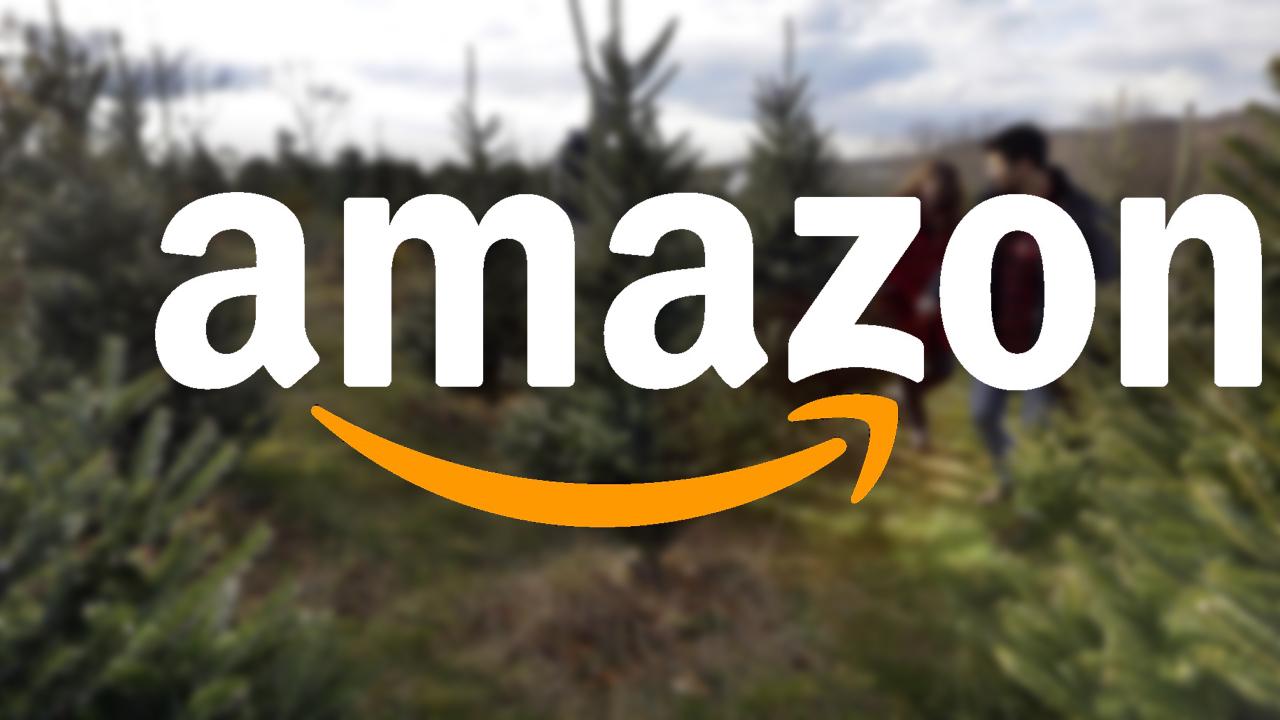 Morning Business Outlook: Amazon is now delivering fresh Christmas trees ranging in price from $20 to $110; about 45 percent of all Americans have felt pressure to spend more money on holiday gifts than what they're comfortable with.