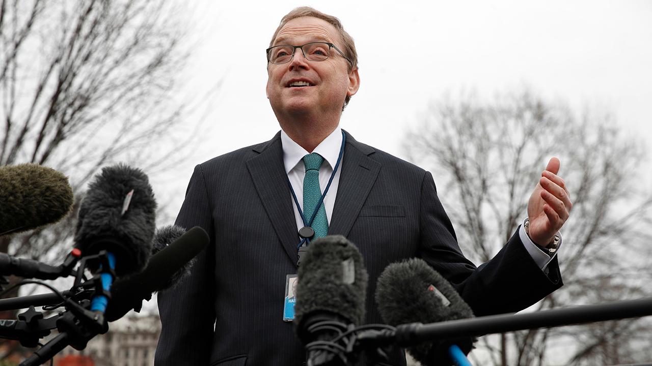 White House Council of Economic Advisers Chairman Kevin Hassett discusses how the partial government shutdown is affecting government workers and why the shutdown will not hurt GDP growth in the long-run.