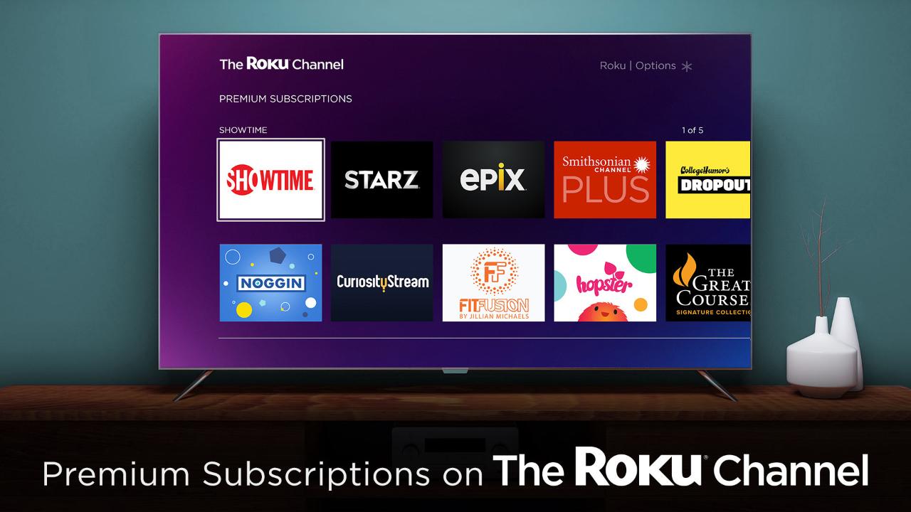 Roku CEO Anthony Wood on the company's new premium subscriptions and consumers' shift toward streaming content rather than traditional TV packages.