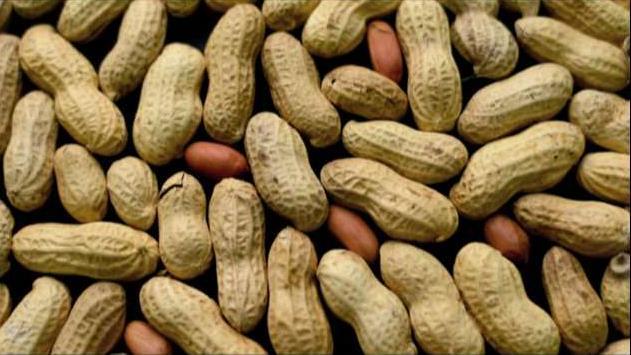 Aimmune CEO Dr. Jayson Dalls on the company's potential tool in the fight against peanut allergies.