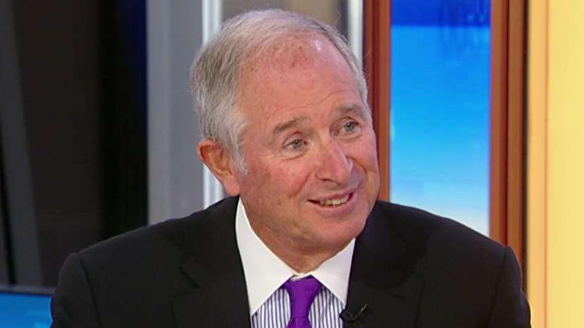 Blackstone CEO Stephen Schwarzman weighs in on the wealth tax and who he thinks will be the nominee for the Democratic Party in 2020.