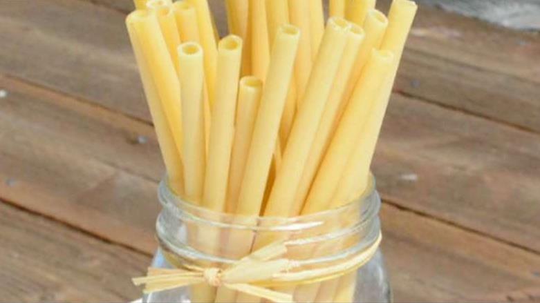 Robert Speiser and Maximo Speiser, of Amazing Pasta Straw, on their company's edible alternative to plastic straws.