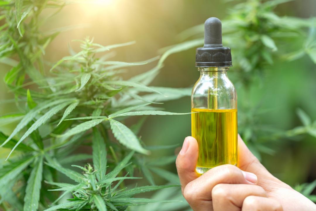 Canndescent CEO Adrian Sedlin on regulating CBD products. 