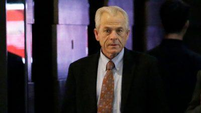 White House trade adviser Peter Navarro touts the Trump economy as 'the strongest in the world.'