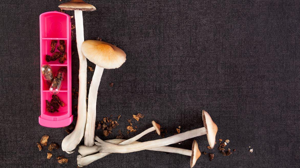 Fox News medical correspondent Dr. Marc Siegel discusses a study suggesting hallucinogenic mushrooms could be used as a treatment for depression and a potential treatment for ALS.