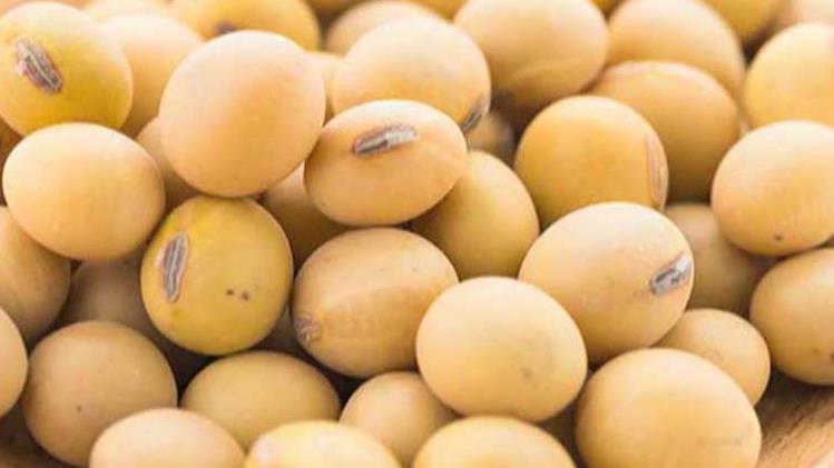 Beijing ramped up its purchases of soybeans ahead of 'phase one' of the U.S.-China trade deal being finalized.