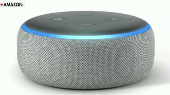 Amazon reported its best-selling devices worldwide included the Echo Dot and the Fire TV stick with Alexa voice remote.