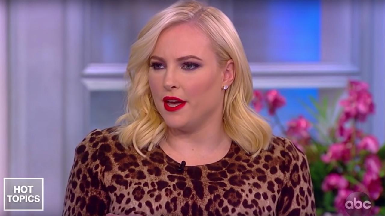 After a New York Times columnist attacked Meghan McCain for her co-hosting role on ABC's 'The View,' FOX Business' Trish Regan says the mainstream media and Hollywood hate when conservative women speak up.