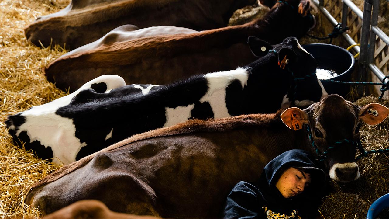 U.S. Dairy Export Council CEO and former Agriculture Secretary Tom Vilsack discusses how the China trade deal and the USMCA will affect the dairy industry. 