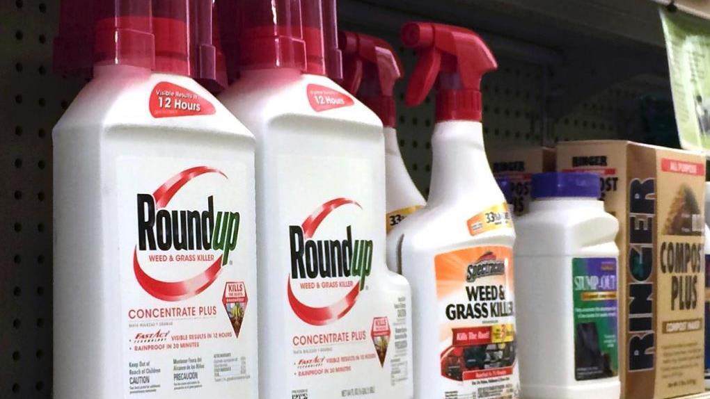 Lanier Law Firm founder and CEO Mark Lanier discusses the lawsuit against Roundup weed killer.