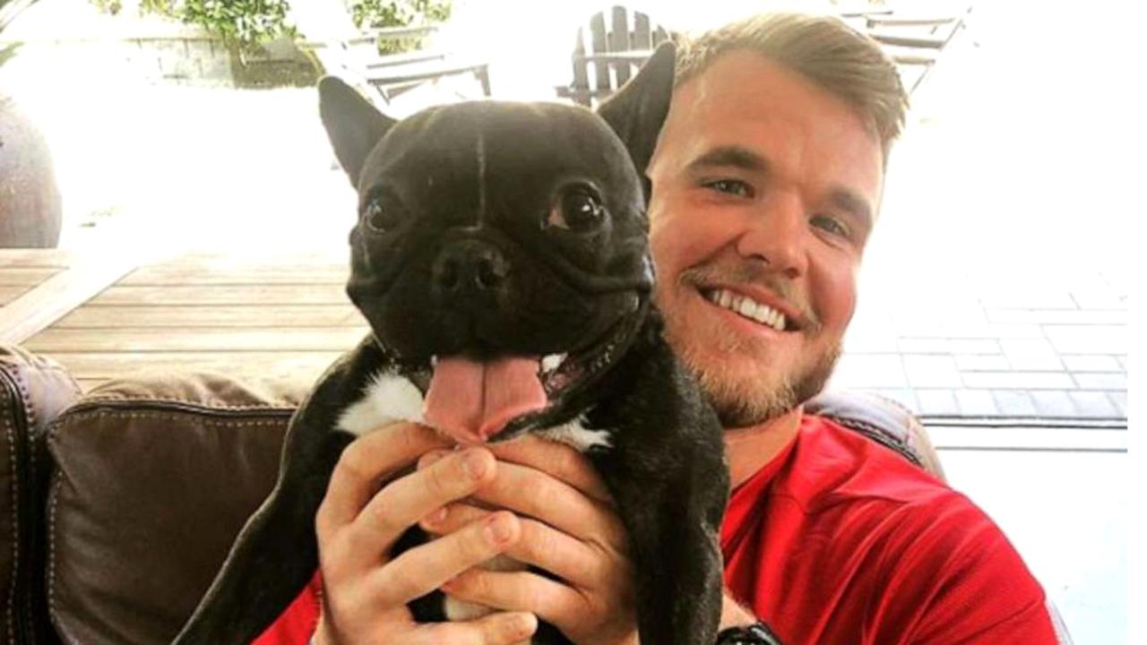 The NFL's first emotional support animal is the San Francisco 49ers Frenchie named Zoe.
