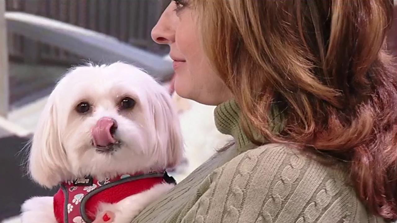 Petco Foundation president and executive director Susanne Kogut discusses how to help pets in need and celebrates Maria Bartiromo’s 1-year anniversary with her rescue dog, Dusty. 