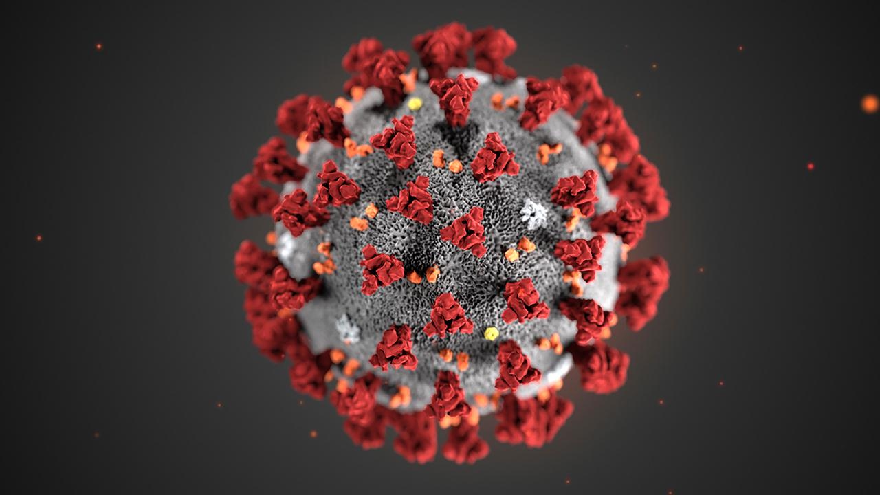 Coronavirus’ similarities with SARS are reassuring: Dr. Marc Siegel