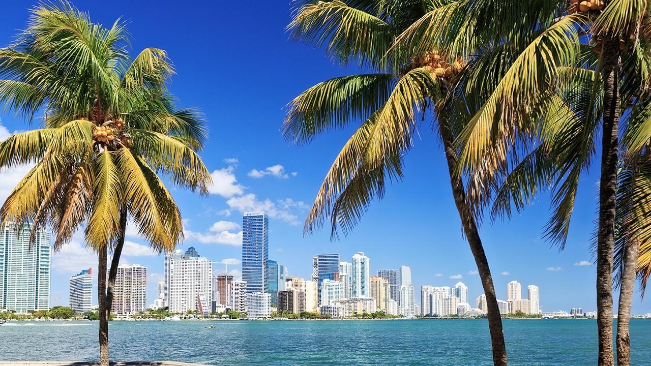 Miami Mayor Francis Suarez discusses Miami's plan to safely reopen the city amid coronavitus.