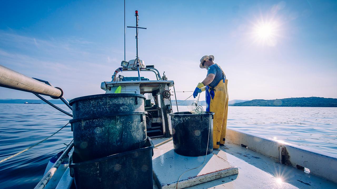 New Hampshire Community Seafood General Manager Andrea Tomlinson discusses fishermen allowing customers to pick up fresh catches dockside and exporting products to China.