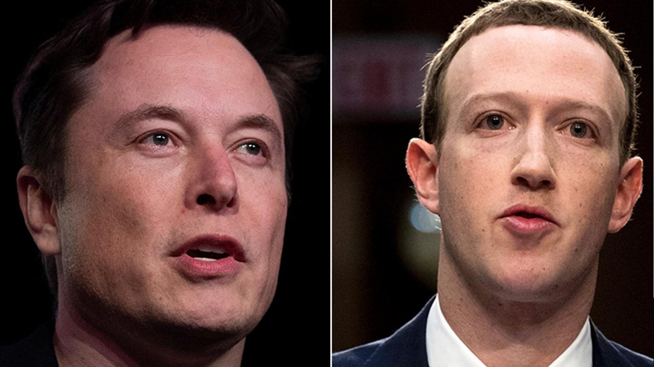 Tesla CEO Elon Musk and  Facebook CEO Mark Zuckerberg disagreed over stay-at-home orders during their earnings calls on Wednesday. 