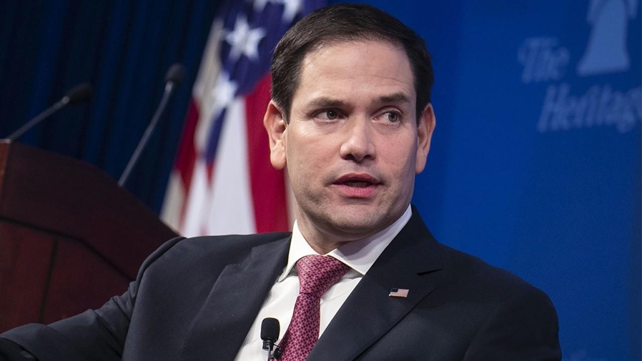 Sen. Marco Rubio, R-Fl., discusses China's part in the development of coronavirus and politics disrupting the distribution of small business aid.
