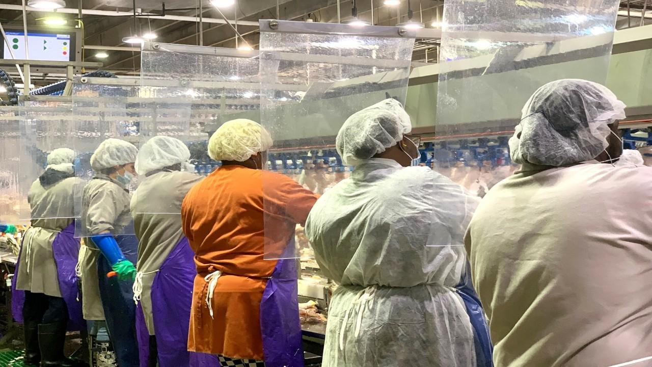 Former Heinz CEO Bill Johnson discusses meat plant workers protesting safety conditions and how business can be carried out safely amid coronavirus.