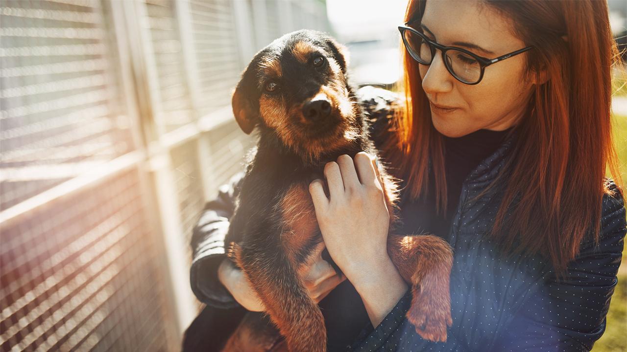 ASPCA CEO and President Matt Bershadker on the increase in people adopting and fostering pets during coronavirus quarantines and his organization’s work to help vulnerable pet-owners. 