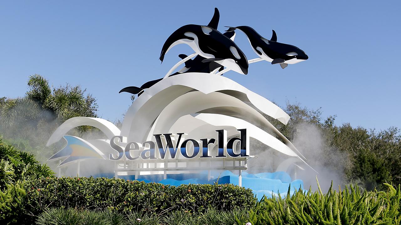 SeaWorld Entertainment Interim CEO Marc Swanson on safety rules and steps being implemented to reopen theme parks amid coronavirus. 