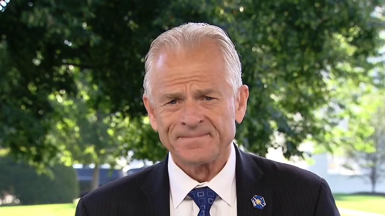 Director of the White House Office of Trade and Manufacturing Policy Peter Navarro on Kodak winning a government loan as part of a new manufacturing initiative. 