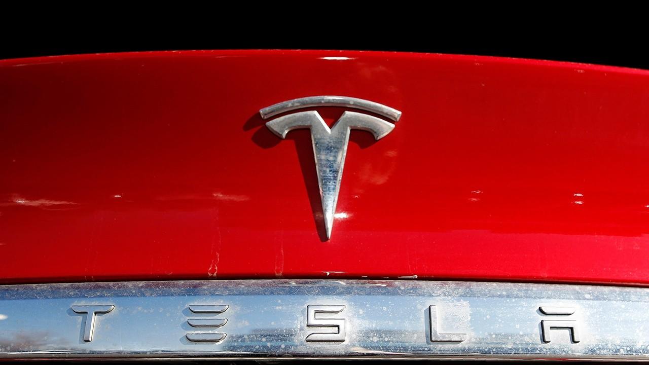ERShares CEO Joel Shulman provides insight into Tesla shares following the company not being chosen to join the S&amp;P 500. 