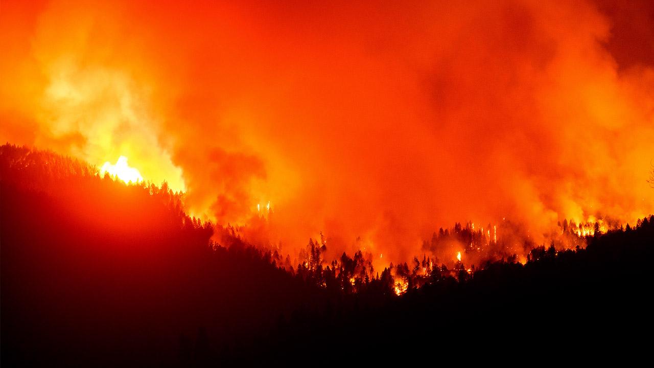 Copenhagen Consensus Center Director Bjorn Lomborg provides insight into what’s causing wildfires in California. 