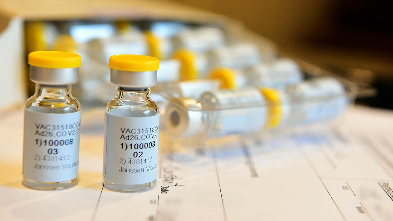 Fox News medical contributor Dr. Nicole Saphier provides insight into Johnson &amp; Johnson’s potential coronavirus vaccine. 